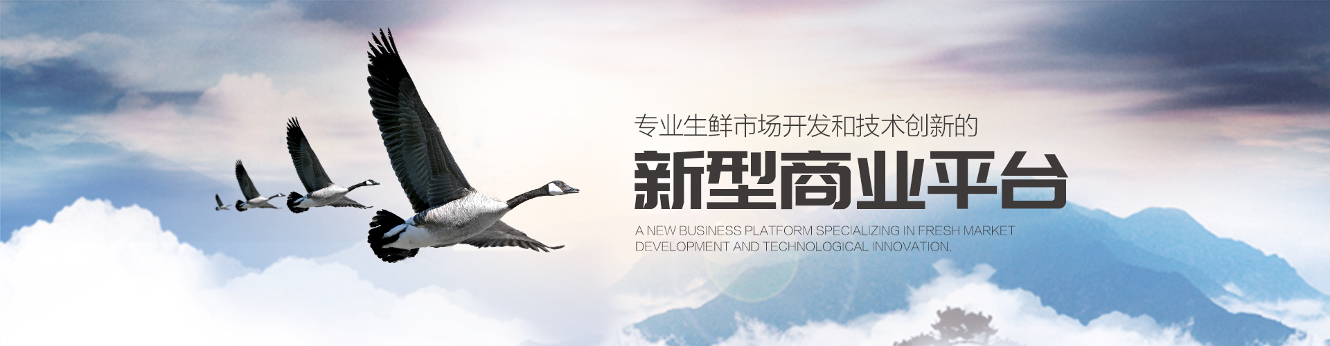 产品布局  /  江西亦行人电子商务有限公司